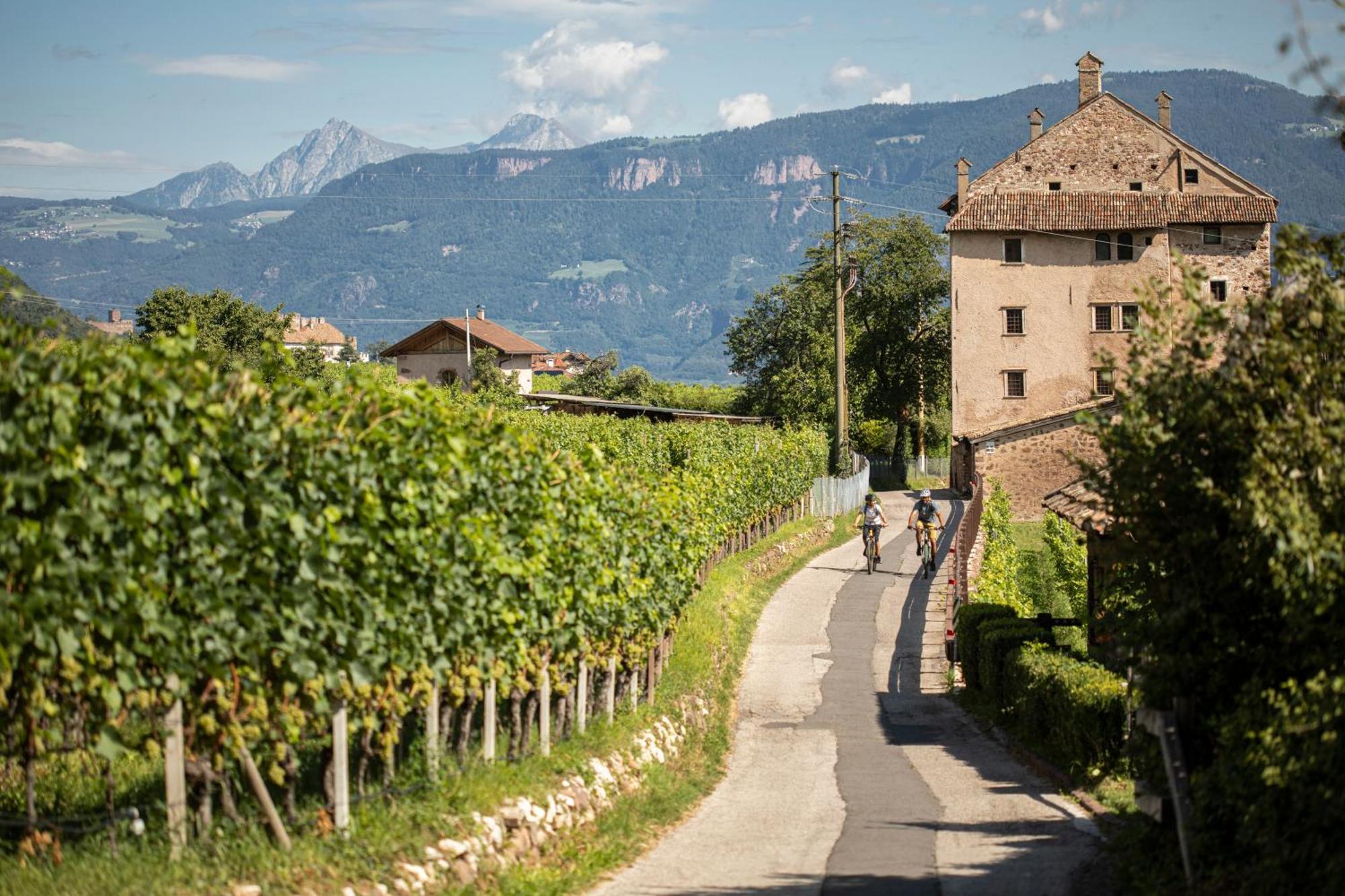 Hotel Girlanerhof Appiano Sulla Strada Del Vino Bagian luar foto