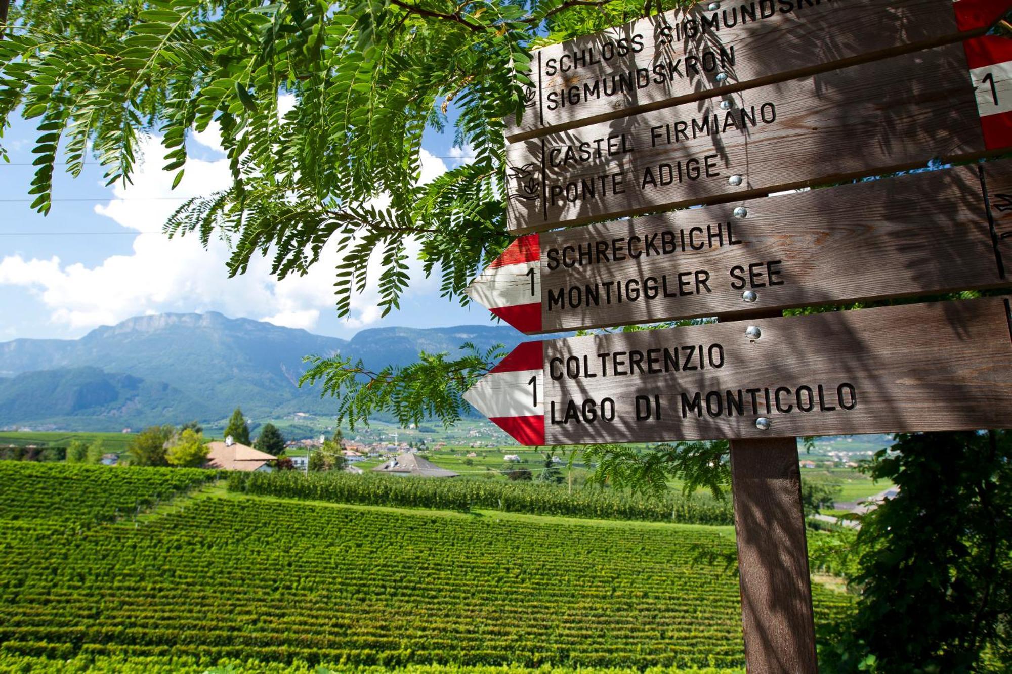 Hotel Girlanerhof Appiano Sulla Strada Del Vino Bagian luar foto
